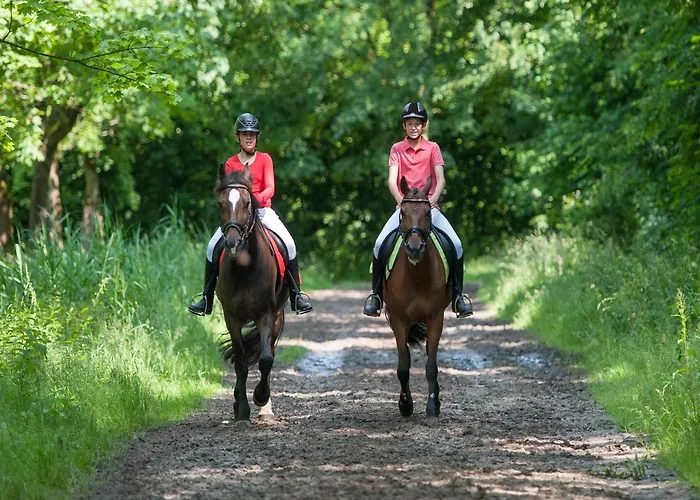 Beautiful Castle In Wit Garden *
